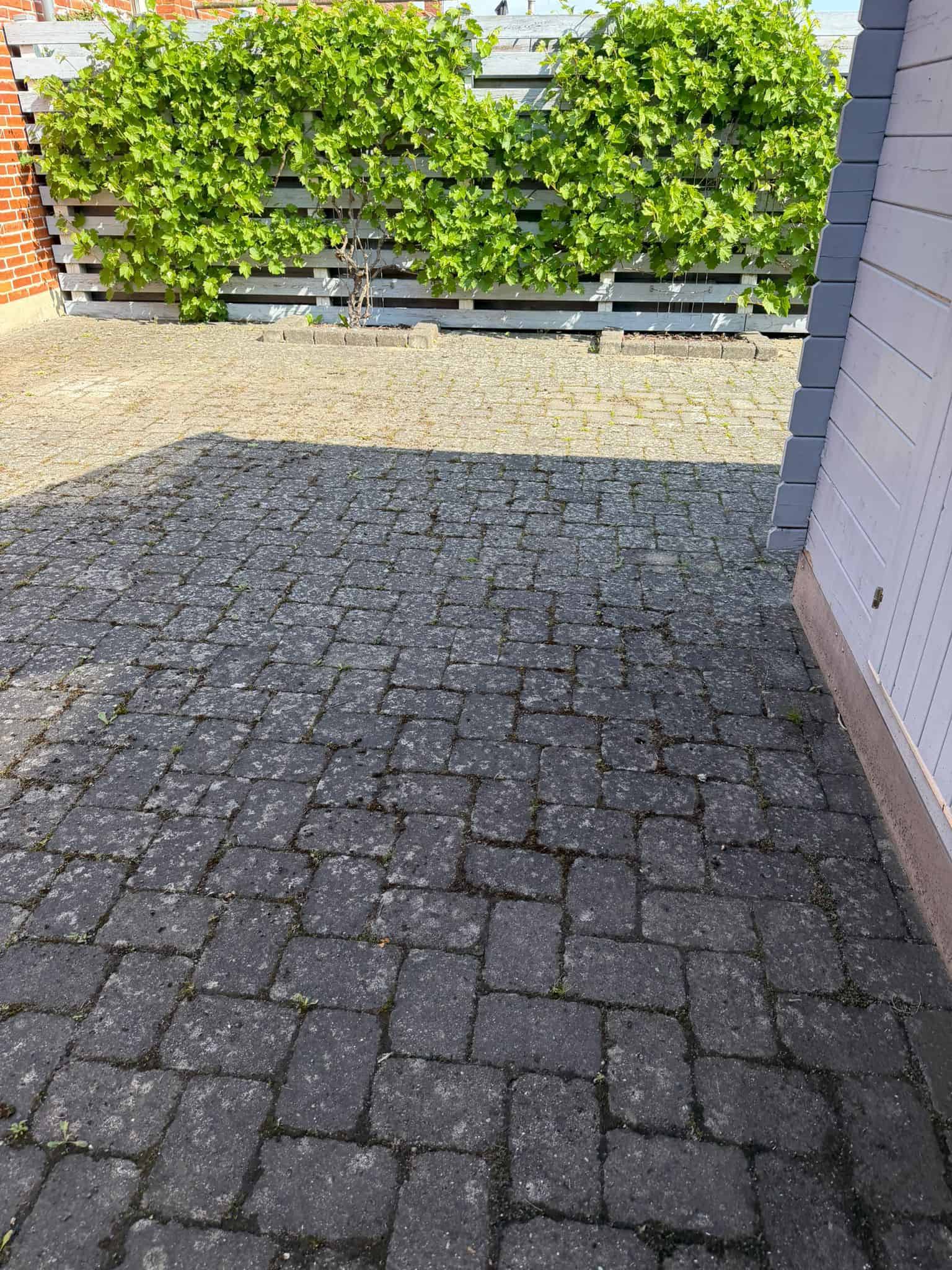Beskidte mørke fliser med moss og alger før fliserens